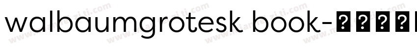 walbaumgrotesk book字体转换